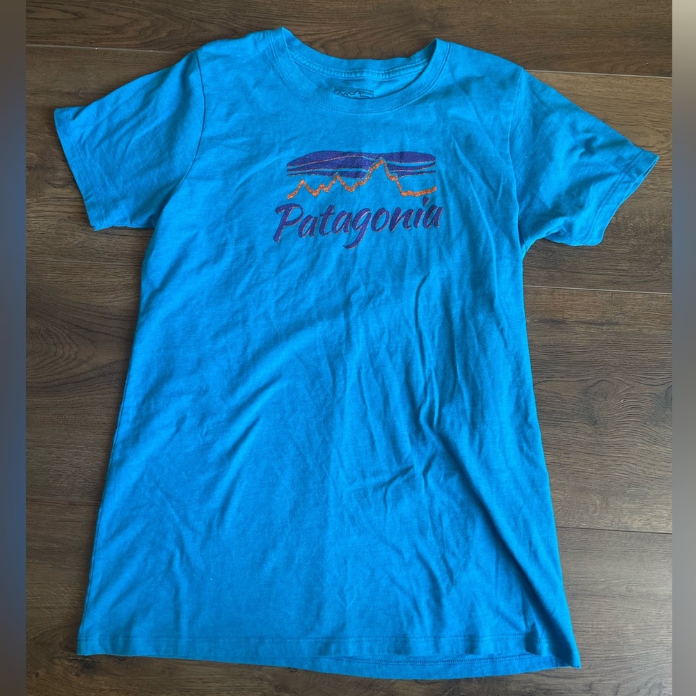 Patagonia tee women’s small blue mountain casual